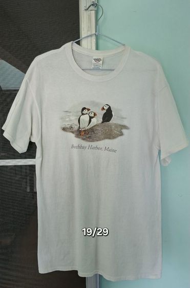 50 ทุกตัวครับ รูปที่ 13