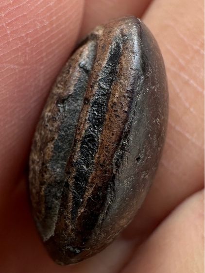 พระปิดตาหลวงปู่จีน วัดท่าลาด พิมพ์แข้งหมอนใหญ่ รูปที่ 5