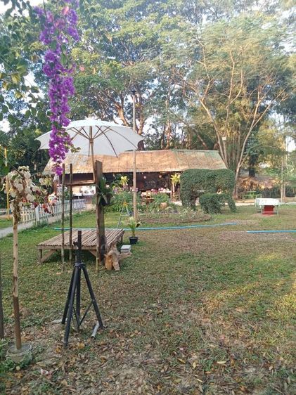 ไม่ใช่ ให้เช่า ร้านอาหาร รูปที่ 3