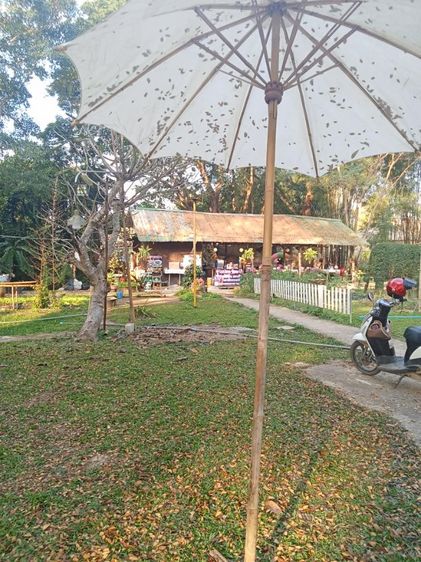 ให้เช่า ร้านอาหาร