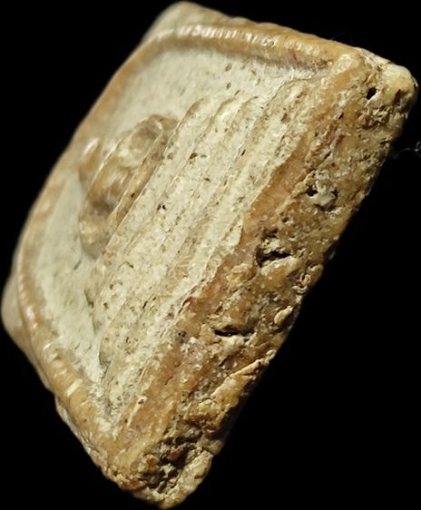 พระสมเด็จสะสมเก่า รูปที่ 9