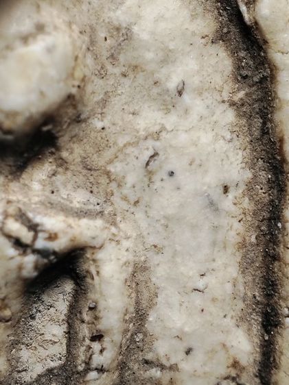 ❌ติดจองครับ❌พระสมเด็จสภาพหิ้งเดิมเลยครับ รูปที่ 16