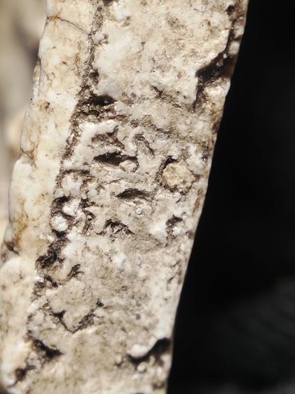 ❌ติดจองครับ❌พระสมเด็จสภาพหิ้งเดิมเลยครับ รูปที่ 12