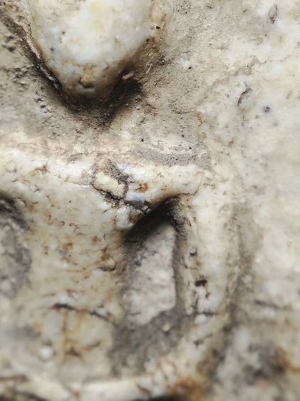 ❌ติดจองครับ❌พระสมเด็จสภาพหิ้งเดิมเลยครับ รูปที่ 4