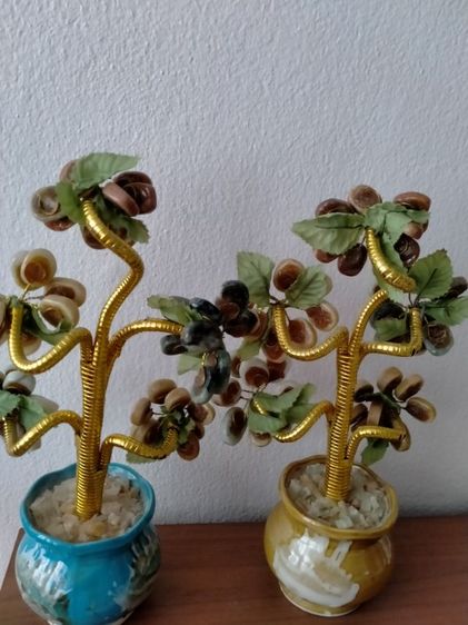 กระถางต้นไม้หยกเซตคู่ รูปที่ 2