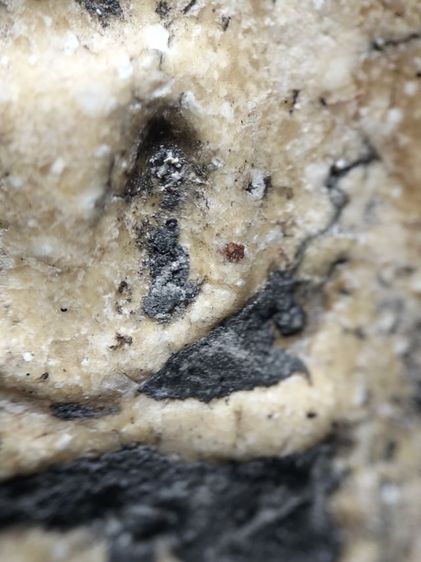 พระสมเด็จเนื้อหนึกนุ่มครับ รูปที่ 6