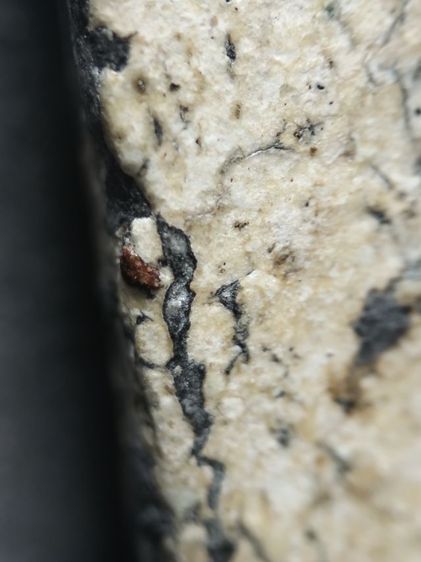 พระสมเด็จเนื้อหนึกนุ่มครับ รูปที่ 14