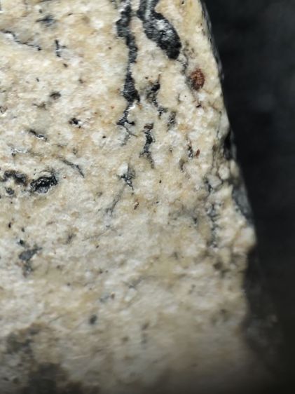 พระสมเด็จเนื้อหนึกนุ่มครับ รูปที่ 11