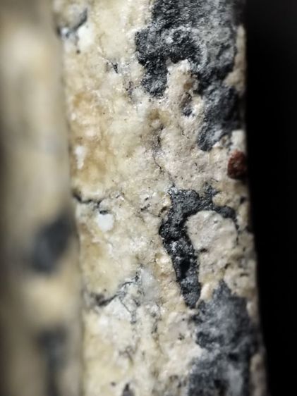 พระสมเด็จเนื้อหนึกนุ่มครับ รูปที่ 8