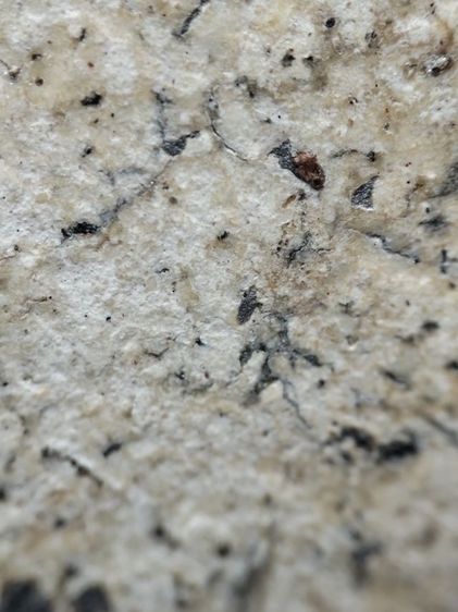 พระสมเด็จเนื้อหนึกนุ่มครับ รูปที่ 12