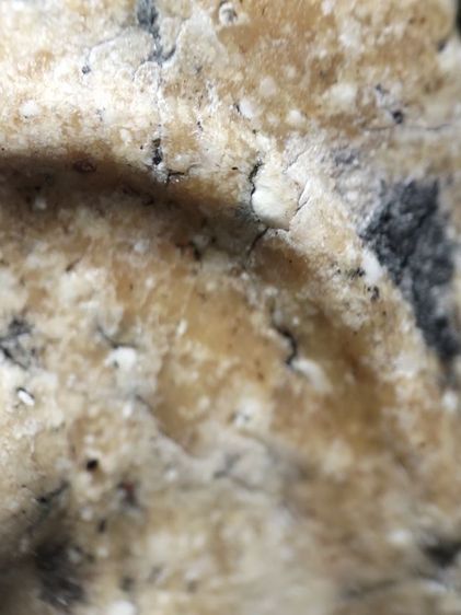 พระสมเด็จเนื้อหนึกนุ่มครับ รูปที่ 3