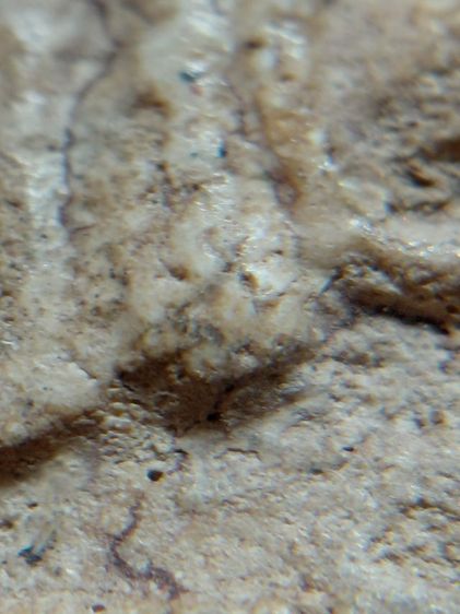 พิมพ์ใหญ่วัดระฆัง รูปที่ 9