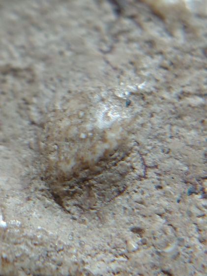 พิมพ์ใหญ่วัดระฆัง รูปที่ 8