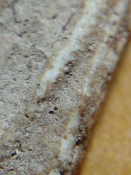 พิมพ์ใหญ่วัดระฆัง รูปที่ 12