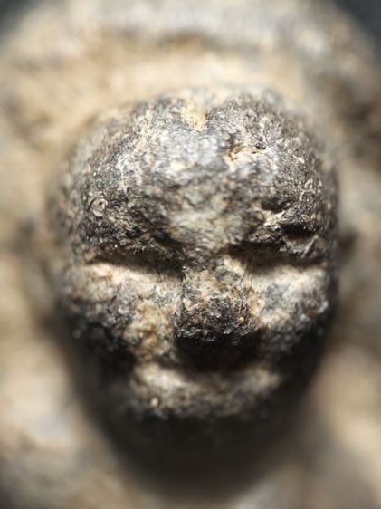 หลวงปู่ทวดเนื้อว่านครับ รูปที่ 5