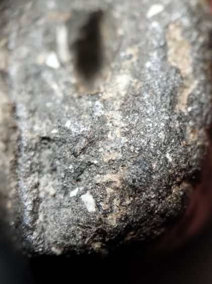 หลวงปู่ทวดเนื้อว่านครับ รูปที่ 8