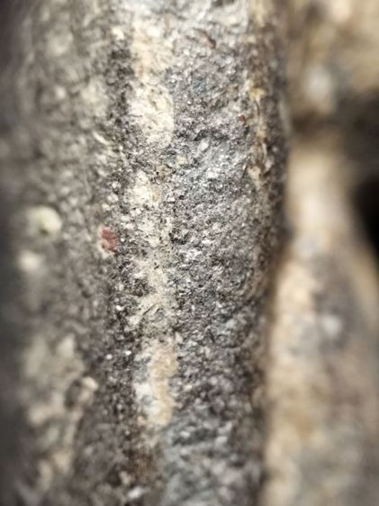 หลวงปู่ทวดเนื้อว่านครับ รูปที่ 12