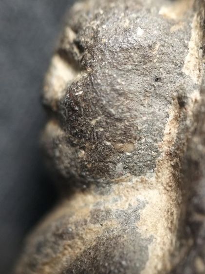 หลวงปู่ทวดเนื้อว่านครับ รูปที่ 7