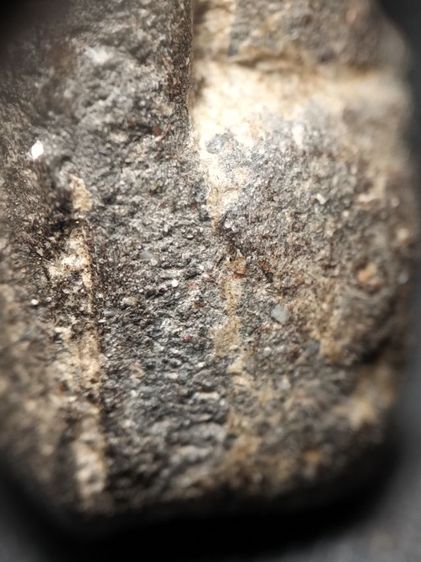 หลวงปู่ทวดเนื้อว่านครับ รูปที่ 13