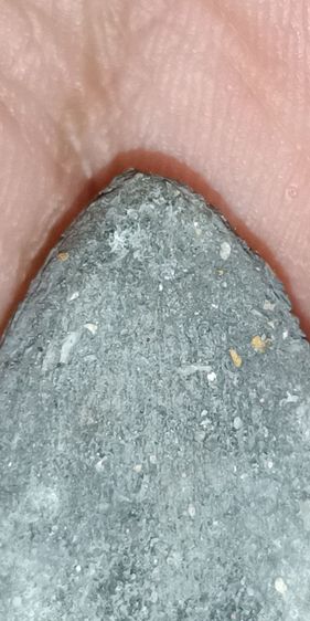 พระผงว่านหลวงปู่ทวด วัดช้างให้ รูปที่ 11