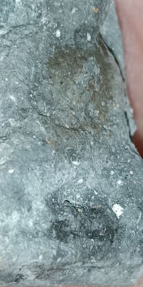 พระผงว่านหลวงปู่ทวด วัดช้างให้ รูปที่ 5