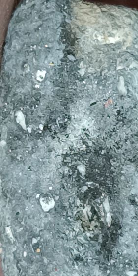 พระผงว่านหลวงปู่ทวด วัดช้างให้ รูปที่ 8