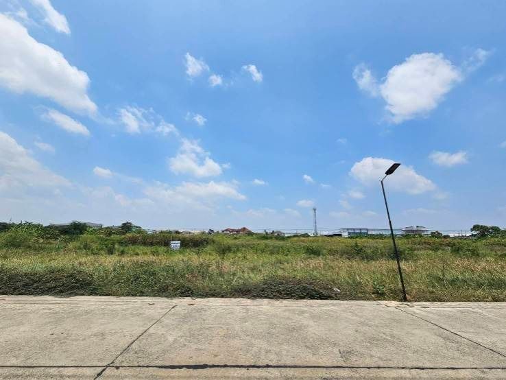 ขายที่ดิน ทำเลทอง ติดถนนคอนกรีต ใกล้สนามบินสุรรณภูมิ รูปที่ 4