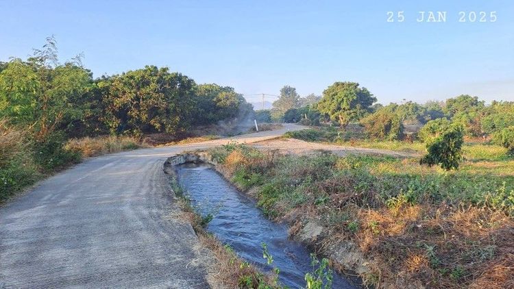 ไม่ใช่ เจ้าของขายเอง สวนลำไยแปลงเล็กเหมาะทำบ้านสวน พูลวิลล่า ใกล้ทางขึ้นดอยอินทนนท์เพียง 5 นาที รูปที่ 3