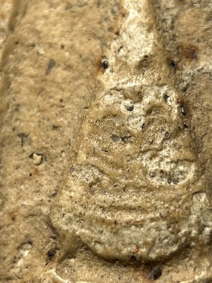 พระสมเด็จวัดระฆังพิมพ์ ยอดขุนพลขาสิงห์ รูปที่ 6