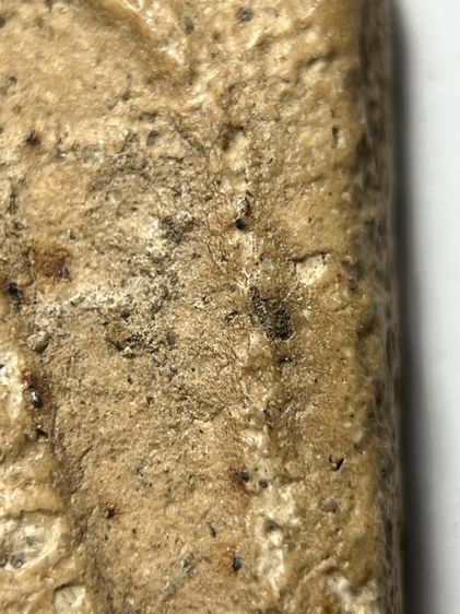 พระสมเด็จวัดระฆังพิมพ์ ยอดขุนพลขาสิงห์ รูปที่ 5