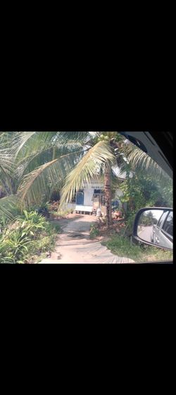 บ้าน ที่ดิน100ตารางวา รูปที่ 2