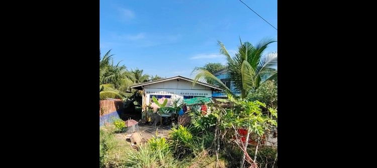 บ้าน ที่ดิน100ตารางวา