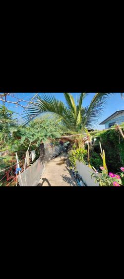 บ้าน ที่ดิน100ตารางวา รูปที่ 4