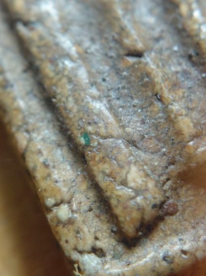 พิมพ์ใหญ่วัดระฆัง มวลสารดีเก่าๆ รูปที่ 12