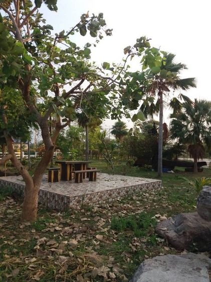 ใช่ ขายที่ดินพร้อมบ้าน ติดริมเขื่อนแม่น้ำโขง จ.มุกดาหาร