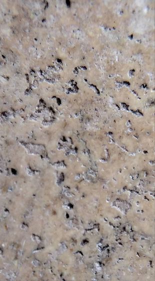 พระสมเด็จ วัดระฆัง บางขุนพรหม วัดเกศไชโย หลวงปู่ภู หลวงปู่นาค รูปที่ 11