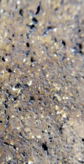 พระสมเด็จ วัดระฆัง บางขุนพรหม วัดเกศไชโย หลวงปู่ภู หลวงปู่นาค รูปที่ 6