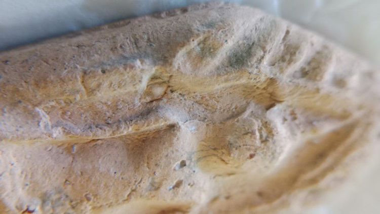 พระผงกระดูกผีหลวงพ่อพุ่มพิมพ์ขุนแผนปี2473ประกันแท้ รูปที่ 4