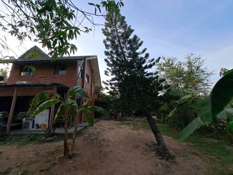 ที่ดิน รูปที่ 3