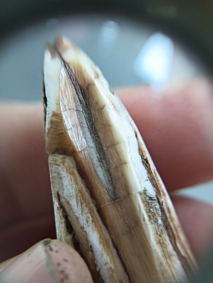 ข เก่า 1 องค์ รูปที่ 15