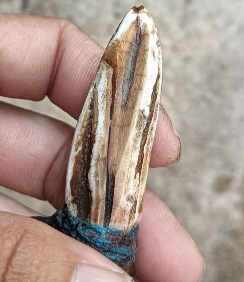 ข เก่า 1 องค์ รูปที่ 4