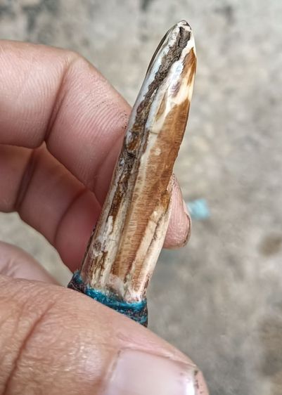 ข เก่า 1 องค์ รูปที่ 7