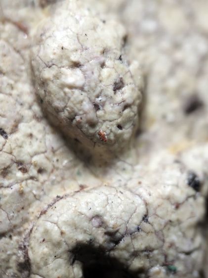 พระสมเด็จสวยๆครับ รูปที่ 3