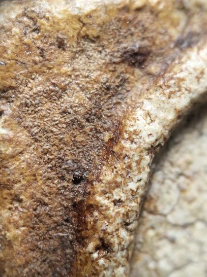 พระสมเด็จสวยๆครับ รูปที่ 6