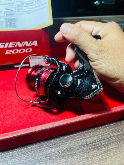 รอกตกปลา shimano sienna 2000 รูปที่ 5