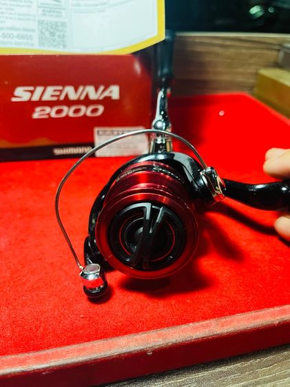 รอกตกปลา shimano sienna 2000 รูปที่ 2