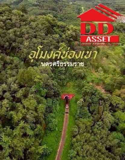 ขายที่ดินติดถนนเอเซีย 5-3-5 ไร่ จ.นครศรีธรรมราช ช่องเขาถ้ำใหญ่