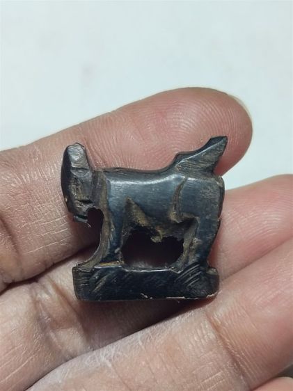 แพะเก่าๆไม่รู้ที่