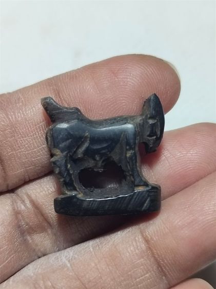 แพะเก่าๆไม่รู้ที่ รูปที่ 2