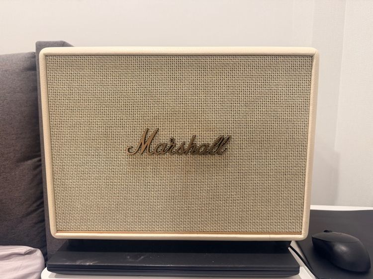 Marshall wubrun3 รูปที่ 8